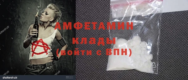 шишки Абаза