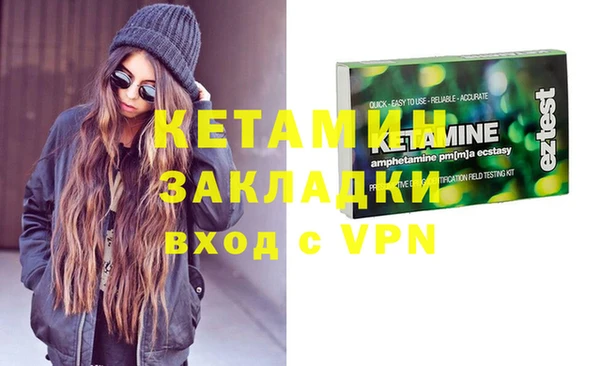 шишки Абаза