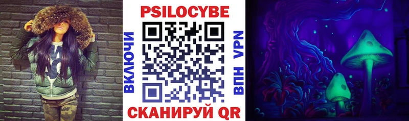 купить  цена  Учалы  Галлюциногенные грибы Psilocybe 